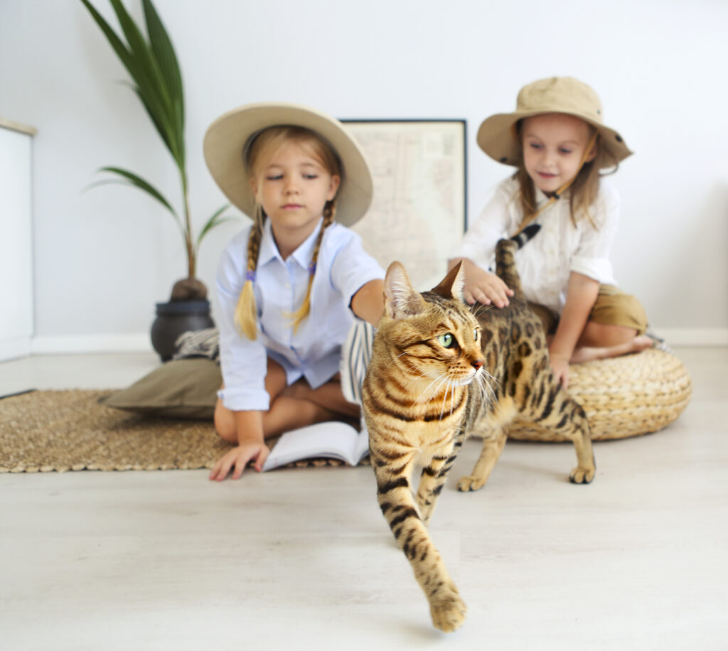 bengal cat with Two little girls