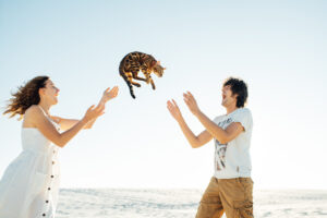 Cheerful young couple having fun on the beach with their bengal cat